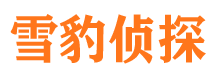 孟村侦探